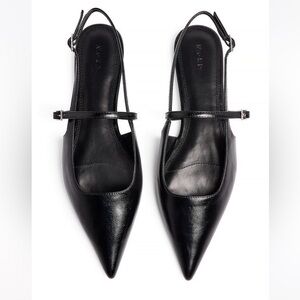 Pointed Toe Black Flats